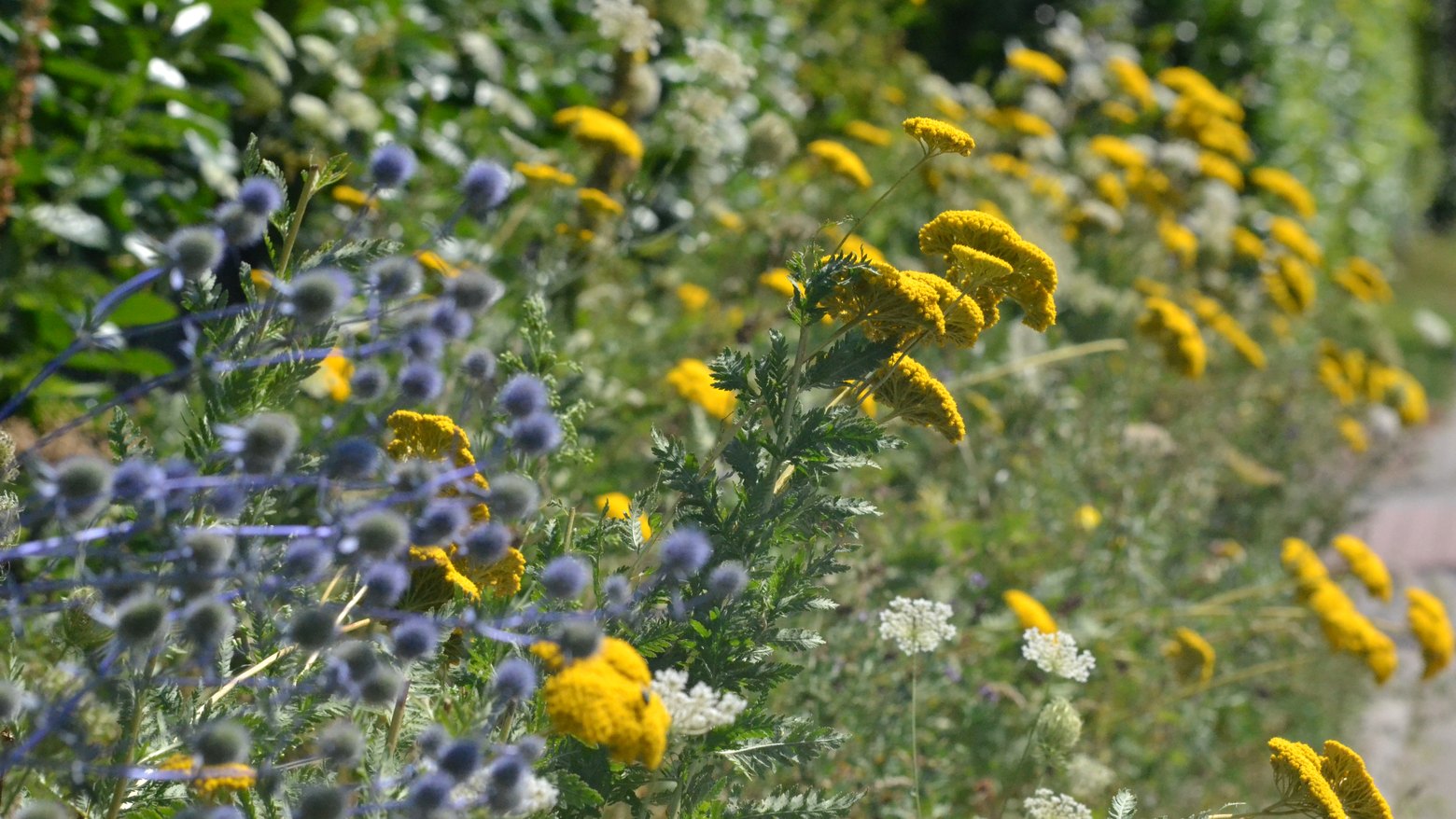 Natur in der Samtgemeinde Apensen